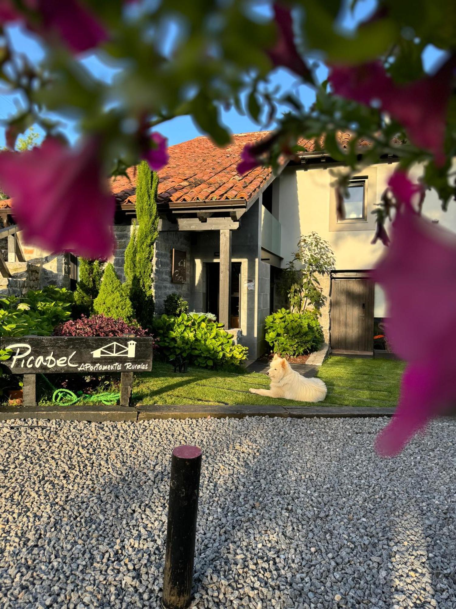 Apartamentos Picabel Onís Exteriér fotografie